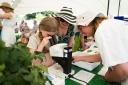 RHS FLOWER SHOW Tatton 2023, RHS FLOWER SHOW Tatton