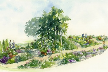 HAMPTON COURT PALACE FLOWER SHOW 2023, HAMPTON COURT PALACE FLOWER SHOW