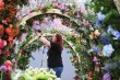 CHELSEA FLOWER SHOW 2024, CHELSEA FLOWER SHOW