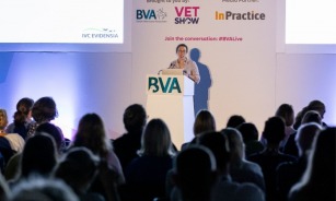 BVA LIVE 2024, BVA LIVE