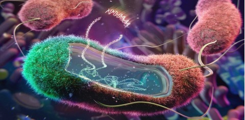 5TH INTERNATIONAL CONFERENCE ON CLINICAL MICROBIOLOGY AND INFECTIOUS DISEASES, 5th International Conference on Clinical Microbiology and Infectious Diseases