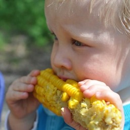 GRUNDY COUNTY CORN FESTIVAL 2023, Grundy County Corn Festival