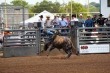 GRUNDY COUNTY CORN FESTIVAL 2023, Comal County Fair & Rodeo 2023