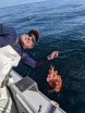 SALTWATER SPORTSMEN'S SHOW 2024, SALTWATER SPORTSMEN'S SHOW