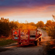 HAYRIDES TO THE WITCH’S HOUSE 2023, HAYRIDES TO THE WITCH’S HOUSE
