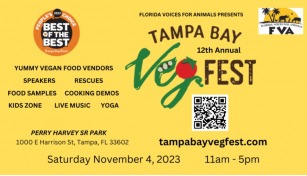ANNUAL TAMPA BAY VEG FEST 2023, Annual Tampa Bay Veg Fest