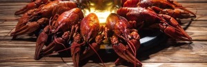 PUNTA GORDA SEAFOOD 2023, Punta Gorda Seafood & Music Festival