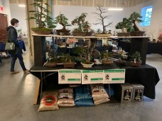 WINTER BONSAI SHOW 2023, Winter Silhouette Bonsai Show