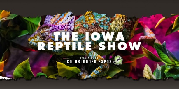  IOWA REPTILE SHOW 2023, Iowa Reptile Show