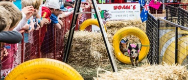  ROYAL CANBERRA SHOW 2024, Royal Canberra Show