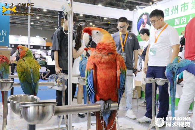 2025 Grandeur World Pet Fair (GWPF)