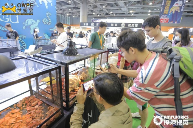 2025 Grandeur World Pet Fair (GWPF)