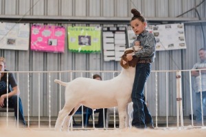 JUNIOR LIVESTOCK SHOW  2024, Junior Livestock Show of Spokane