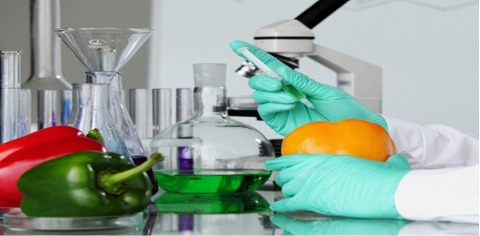 FOOD TECHNOLOGY AND NUTRITION 2024, 6th International Conference on Food Technology and Nutrition