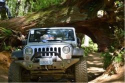  TILLAMOOK 2024, TILLAMOOK  JEEP JAMBOREE