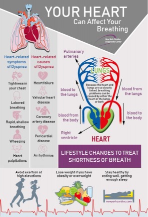 Advantages of Services in New York Cardiac Diagnostic Center (Financial District / Wall Street)