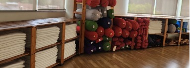 BKS Iyengar Yogashala, Iyengar Yoga Festival - Gateway to Wellness