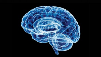 Neuroscience, International Conference on Neuroscience