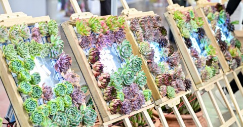 2024, The 23rd Kunming International Flower Expo of China & IFEX Kunming International Flowers & Plants Expo