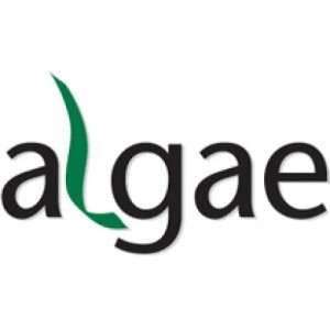 ALGAE