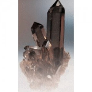 BERNER FOSSILIEN- UND MINERALIENBÖRSE