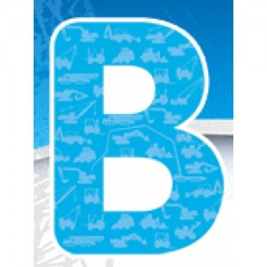 BICES