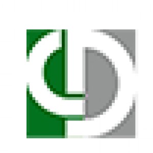 CHINA DIECASTING