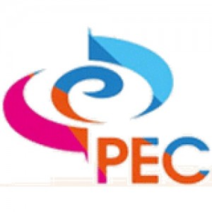 CHINA PEC