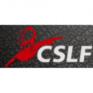 CHINA SYNTHETIC LEATHER FAIR - CSLF