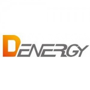 D-ENERGY CHINA