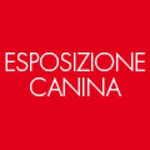 ESPOSIZIONE CANINA PADOVA