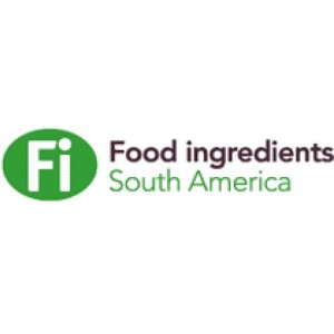 FI SOUTH AMERICA