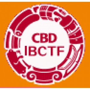 IBCTF - INTERNATIONAL BUILDING & CONSTRUCTION TRADE FAIR