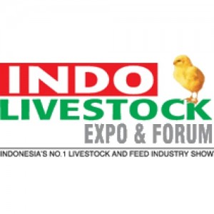 INDO LIVESTOCK
