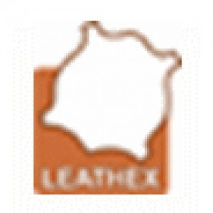 LEATHEX
