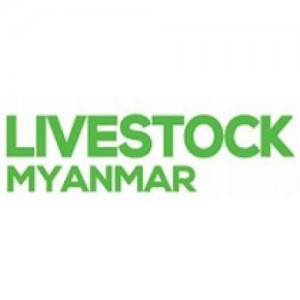 LIVESTOCK MYANMAR
