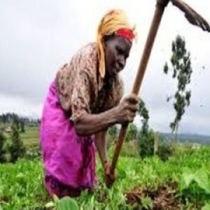 Training Course on Establishing And Strengthening Farmer Organizations