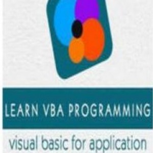 Training course on Introduction to VBA Programming