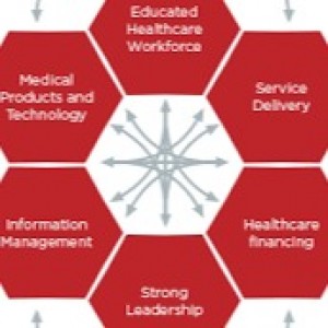 Training Course on Strengthening Health Systems
