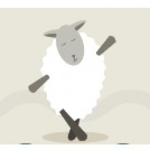 Irish Wool Fest