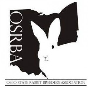 OSRBA Mini Convention Show