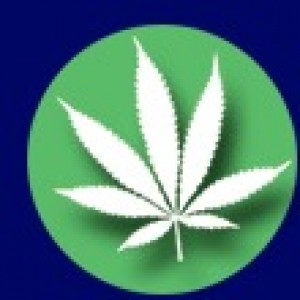 Oaks Canna Fest