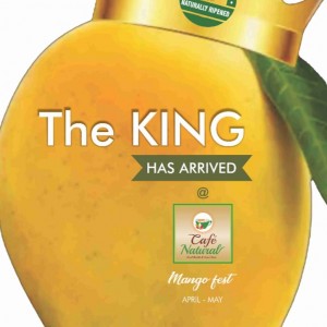 Mango Food Fest