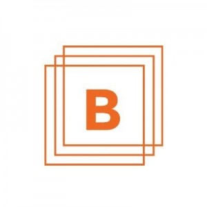 BCI Summit - Big Data Management