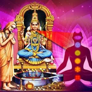 Soundarya Lahari Series of Homam – 4