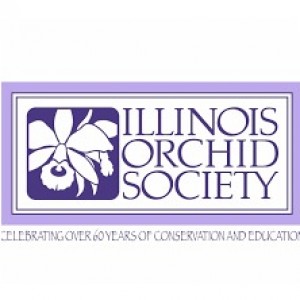 Illinois Orchid Society Meetings & Shows