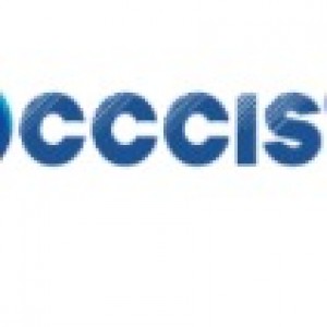 2022 3rd International Conference on Computer Communication and Information Systems (CCCIS 2022)