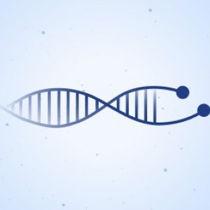 Eternity Life Forum