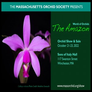 Massachusetts Orchid Society Annual Sale And Show