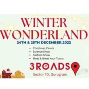 Winter Wonderland at Reach 3 Roads